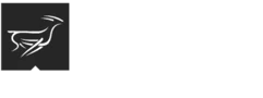 Front Runner