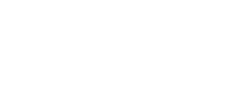 ICON Vehicle Dynamics